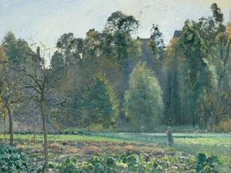 Het koolveld, Pontoise